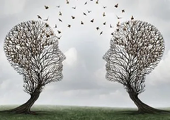 Image of two trees that look like heads and birds flying from them meeting each other like it is a meeting of minds